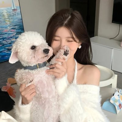 梦想起飞：菜鸟空姐的处女航